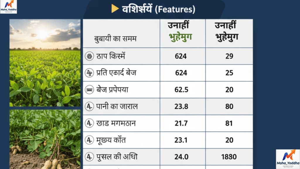 Summer Mung & Groundnut Farming 2026