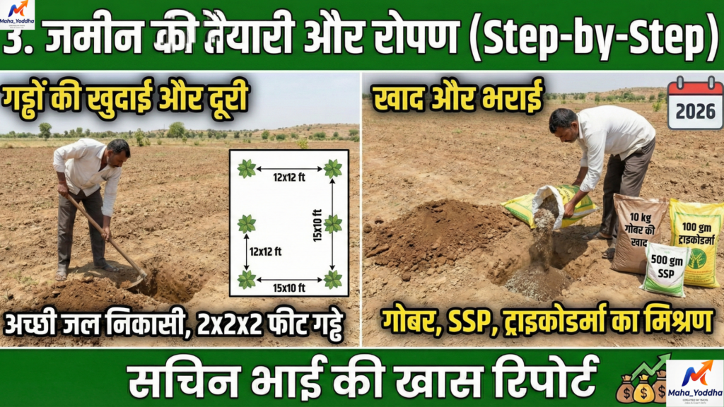 सीताफल की खेती (Custard Apple Farming)