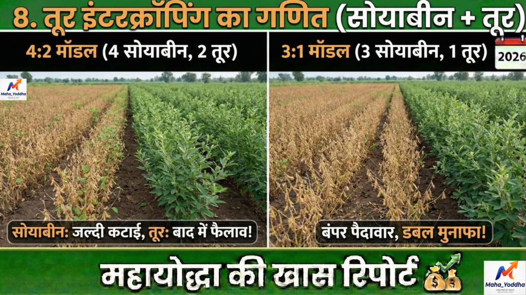 तूर की खेती Tur Farming