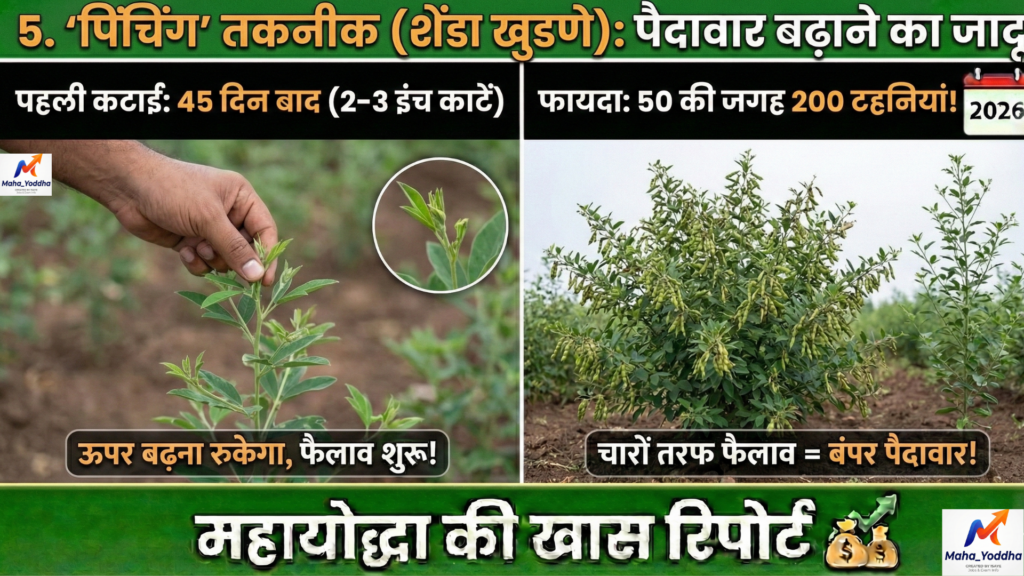 तूर की खेती Tur Farming