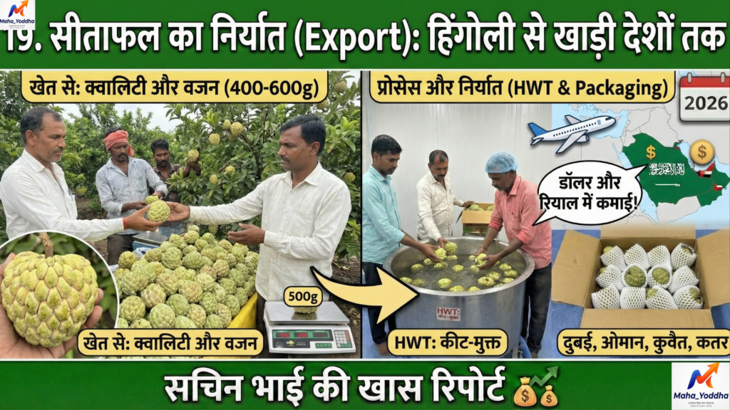 सीताफल की खेती (Custard Apple Farming)