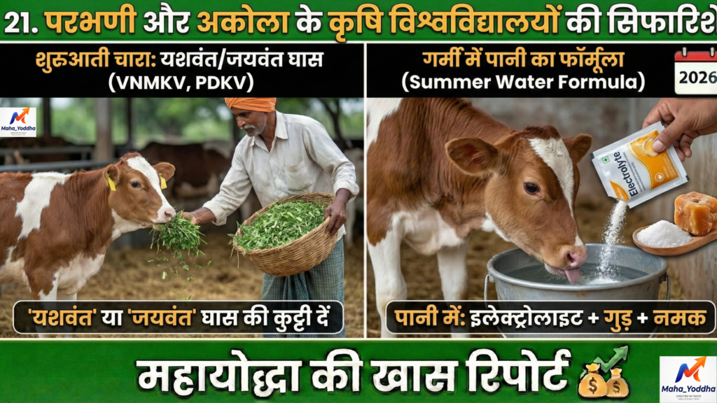 बछड़ों का पालन (Calf Rearing)