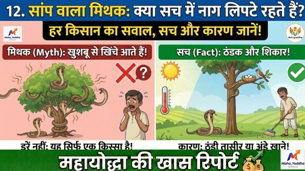 सफेद चंदन की खेती 2026: 1 एकड़ में ‘करोड़पति पेड़’ लगाने का पूरा तरीका | होस्ट प्लांट, लाइसेंस और मुनाफा