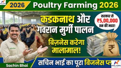 Poultry Farming 2026
