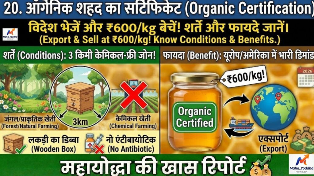 मधुमक्खी पालन (Apiculture) 2026: बिना जमीन खेती का मीठा बिजनेस | शहद से लाखों कमाई A to Z गाइड