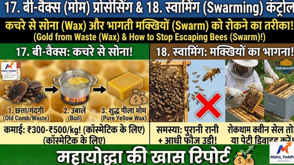 मधुमक्खी पालन (Apiculture) 2026: बिना जमीन खेती का मीठा बिजनेस | शहद से लाखों कमाई A to Z गाइड
