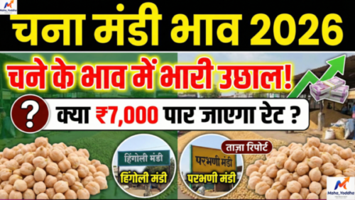 Chana Mandi Bhav 2026