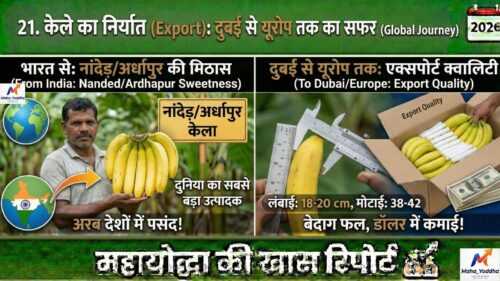 केले की खेती (Banana Farming)