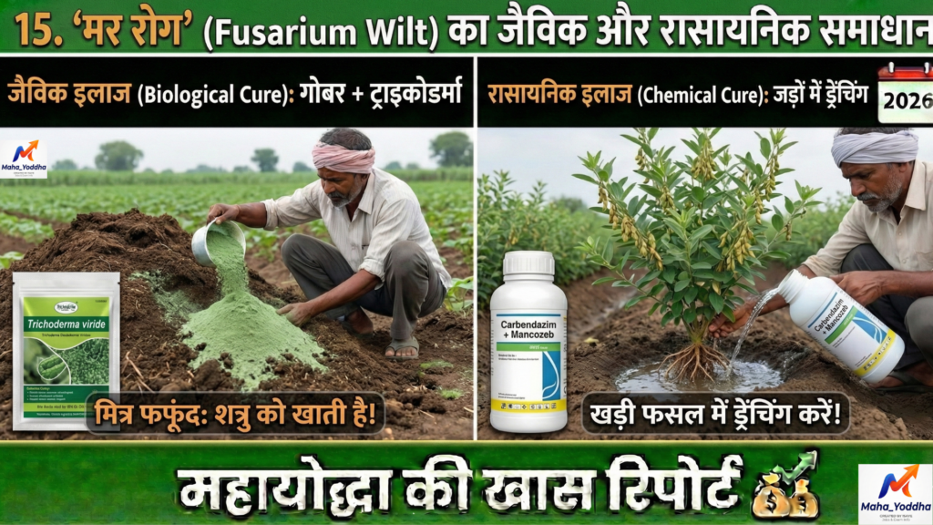 तूर की खेती Tur Farming