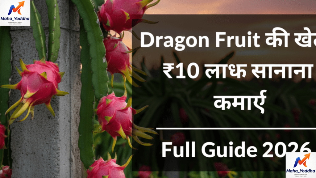 Dragon Fruit Farming 2026 Mahayoddha