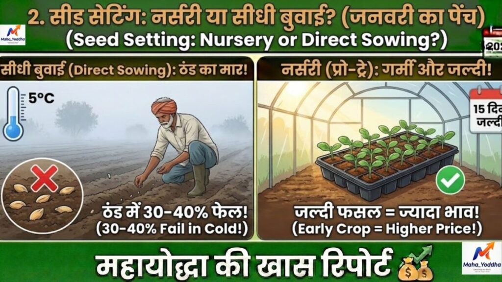 Watermelon Farming in India