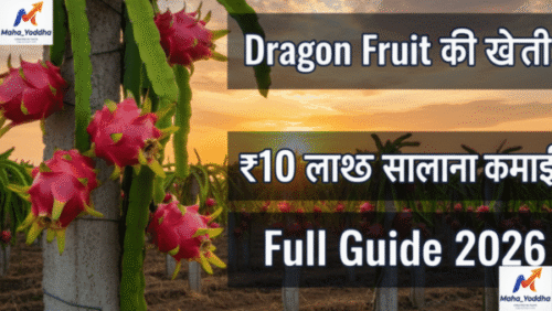 Dragon Fruit Farming 2026 Mahayoddha