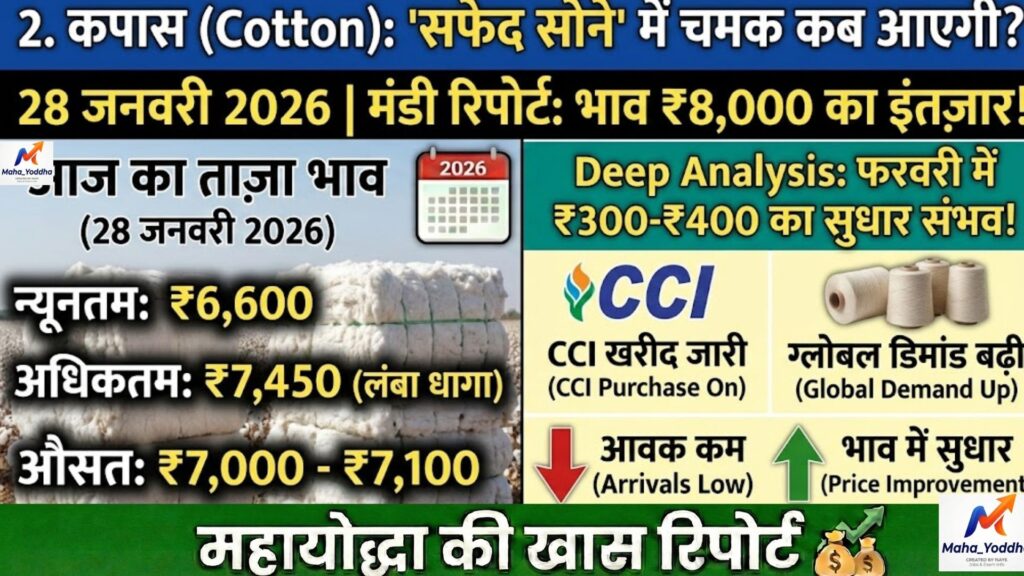 आज के मंडी भाव 2026: सोयाबीन, तुअर, कपास, चना और हल्दी का ताज़ा बाजार भाव