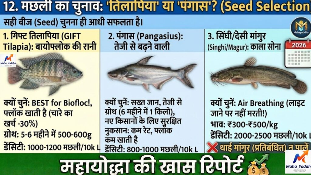 बायोफ्लोक मछली पालन: घर में टैंक लगाकर 6 महीने में मुनाफा | पूरा सेटअप, खर्च और रिस्क गाइड
