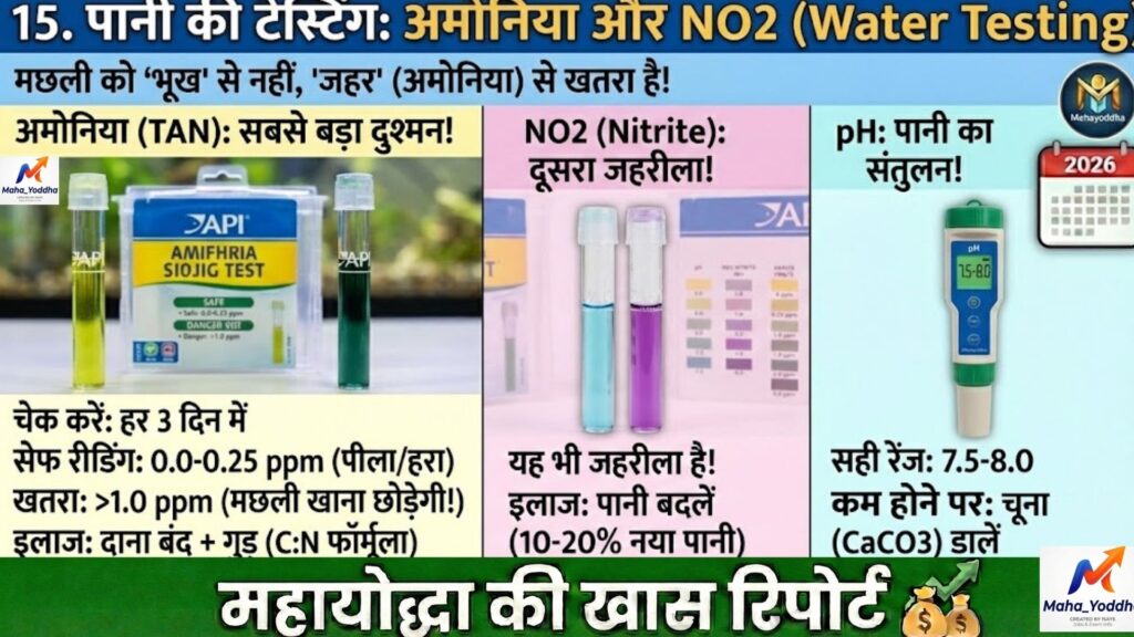 बायोफ्लोक मछली पालन: घर में टैंक लगाकर 6 महीने में मुनाफा | पूरा सेटअप, खर्च और रिस्क गाइड