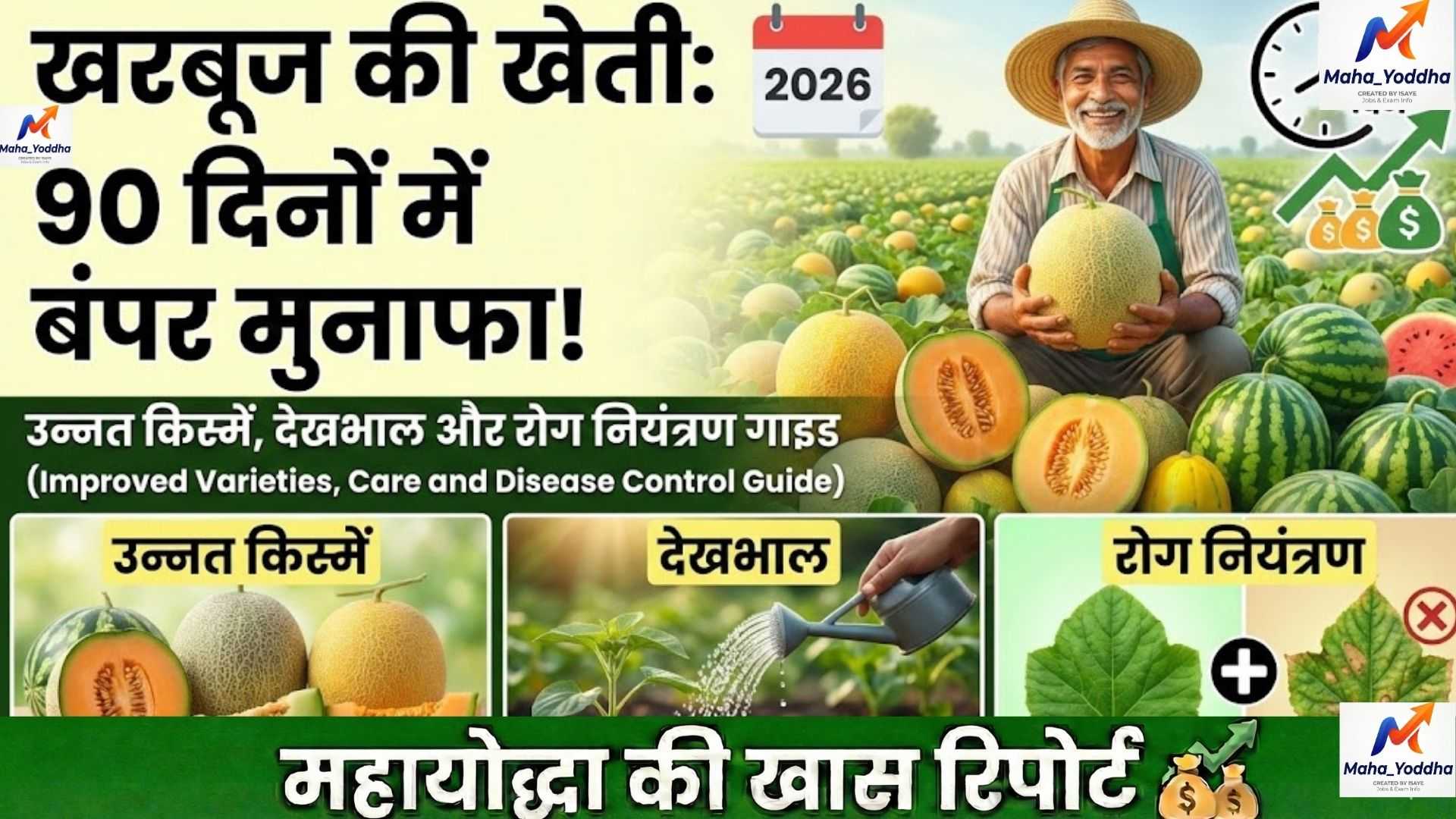 खरबूज की खेती: 90 दिनों में बंपर मुनाफा | उन्नत किस्में, देखभाल और रोग नियंत्रण गाइड