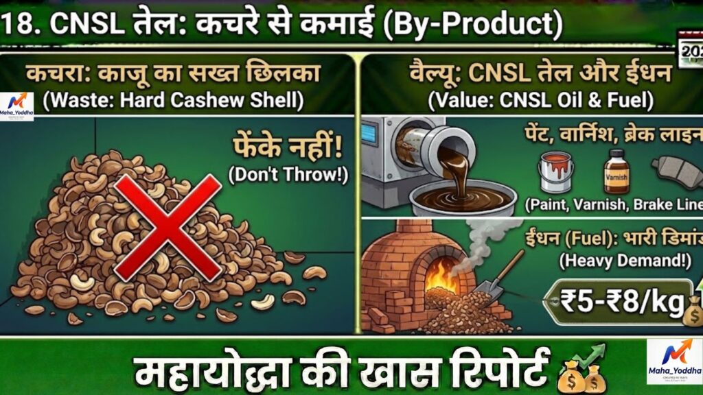 काजू की खेती (Cashew Farming): बंजर लाल जमीन से सफेद सोना, आधुनिक तकनीक और मुनाफे का पूरा गणित