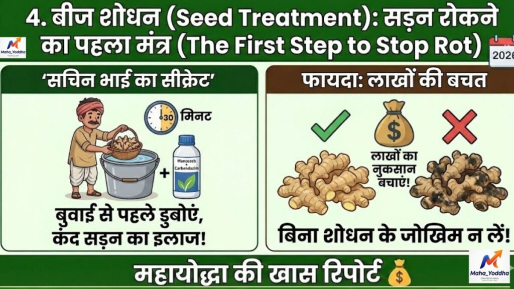 अदरक की खेती (Ginger Farming)