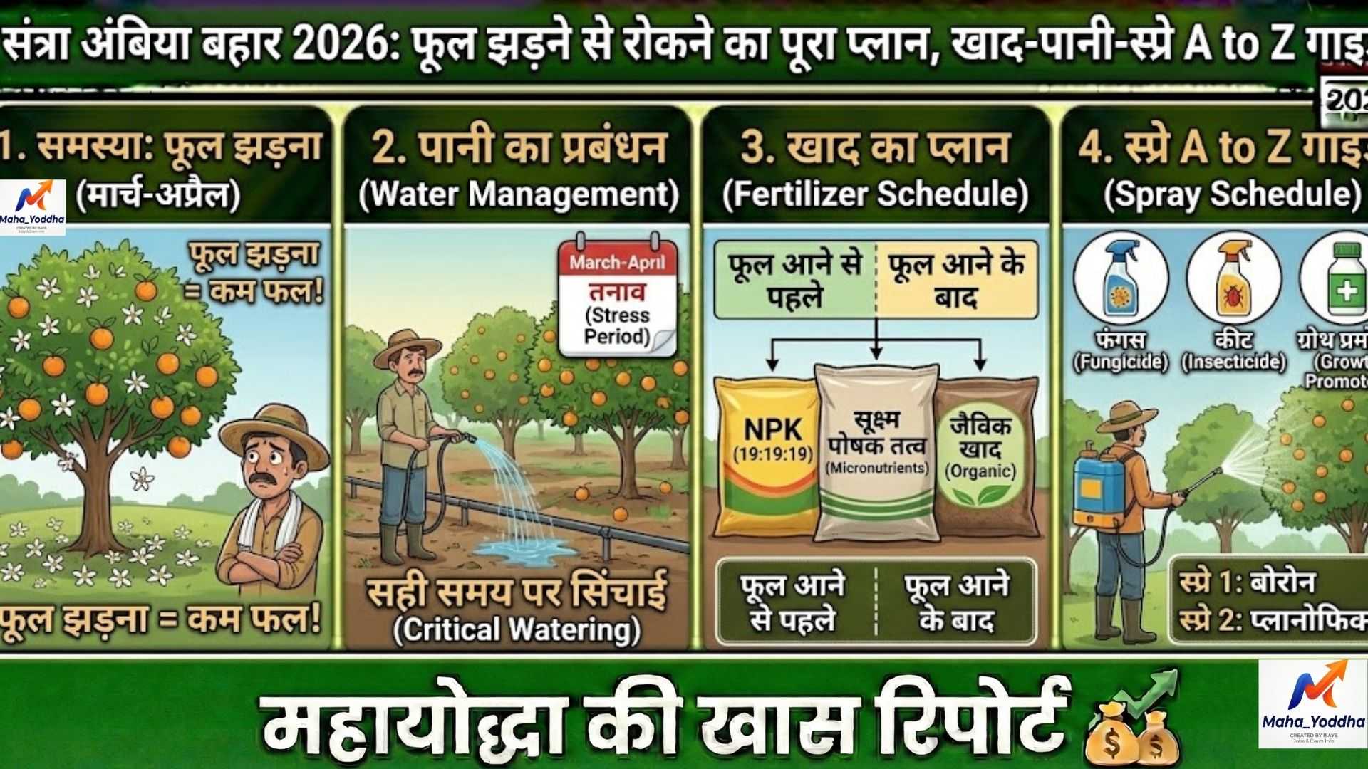 संत्रा अंबिया बहार 2026: फूल झड़ने से रोकने का पूरा प्लान, खाद-पानी-स्प्रे A to Z गाइड