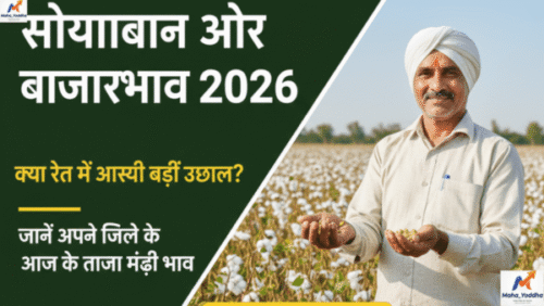 सोयाबीन और कपास बाजारभाव 2026:
