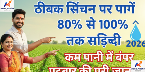 Drip Irrigation Subsidy 202