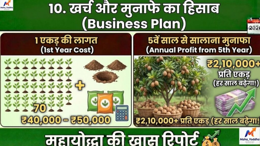 चीकू की खेती कैसे करें? कम पानी में ज्यादा मुनाफा | संपूर्ण गाइड 2026