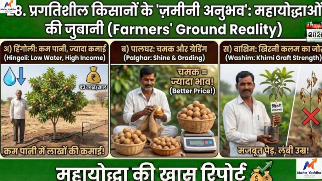 चीकू की खेती कैसे करें? कम पानी में ज्यादा मुनाफा | संपूर्ण गाइड 2026