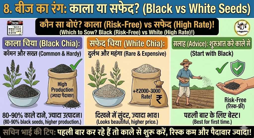 चिया सीड्स की खेती 2026: कम पानी में ₹15,000–₹20,000/क्विंटल कमाई | पूरी किसान गाइड