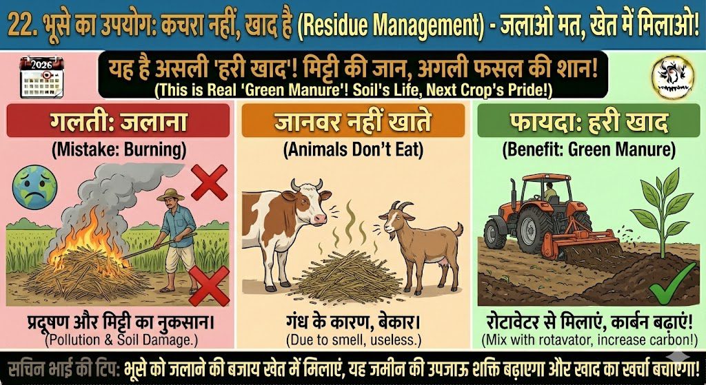 चिया सीड्स की खेती 2026: कम पानी में ₹15,000–₹20,000/क्विंटल कमाई | पूरी किसान गाइड