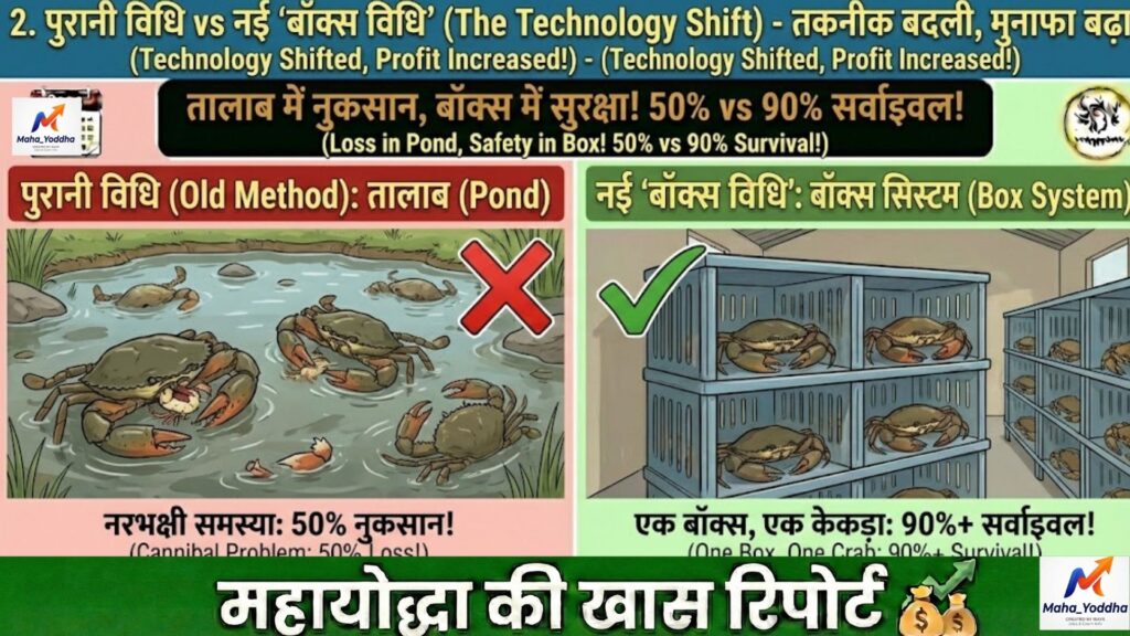 केकड़ा पालन (Mud Crab Farming) 2026: बिना तालाब बॉक्स सिस्टम से ₹1,500/kg कमाई | A to Z गाइड
