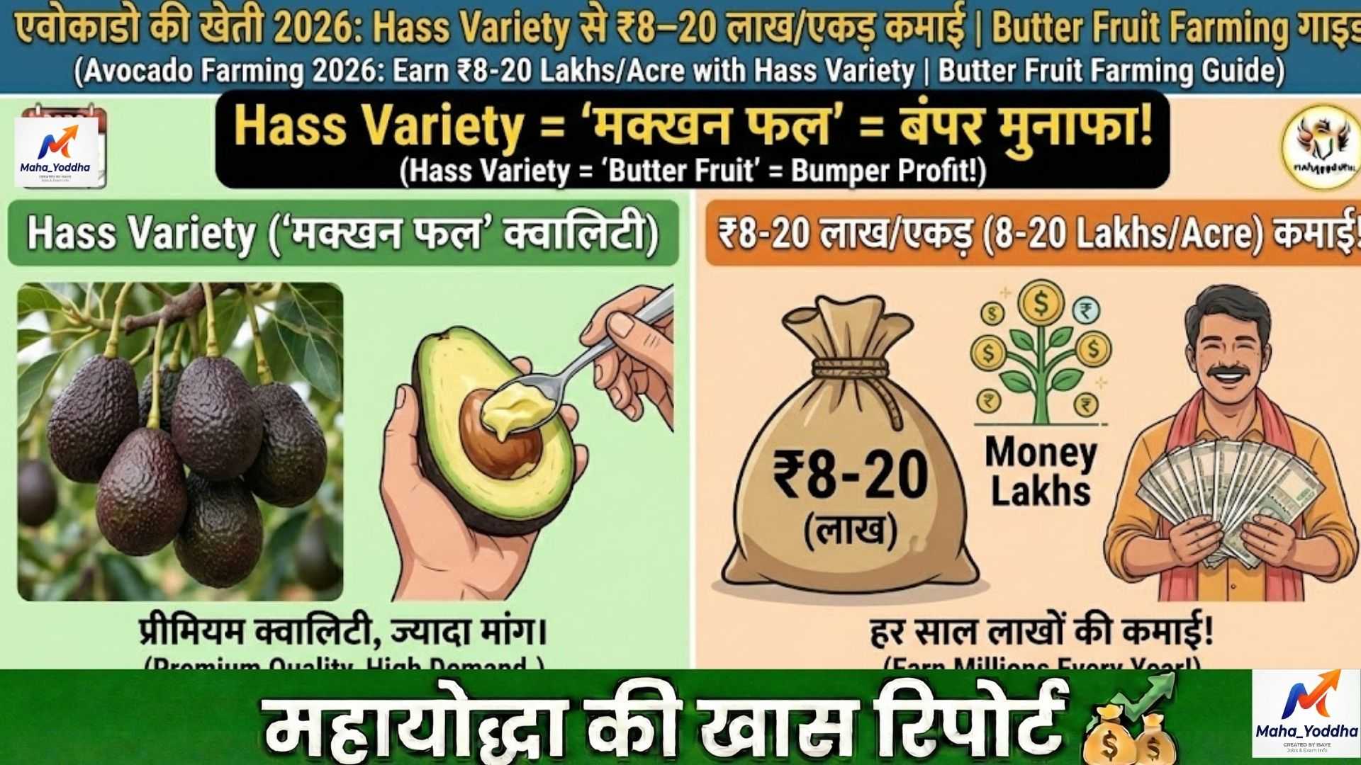 एवोकाडो की खेती 2026: Hass Variety से ₹8–20 लाख/एकड़ कमाई | Butter Fruit Farming गाइड