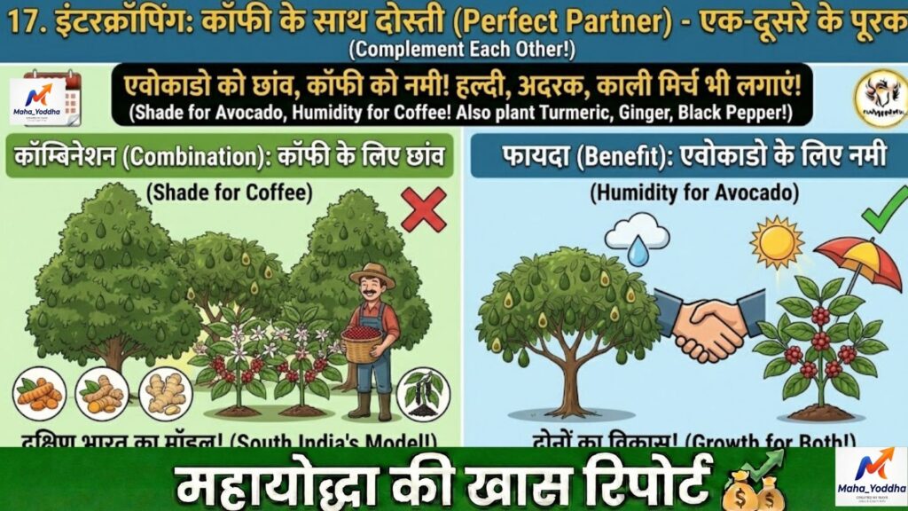 एवोकाडो की खेती 2026: Hass Variety से ₹8–20 लाख/एकड़ कमाई | Butter Fruit Farming गाइड